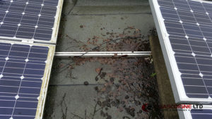 Leafs causing an issue under the solar panels